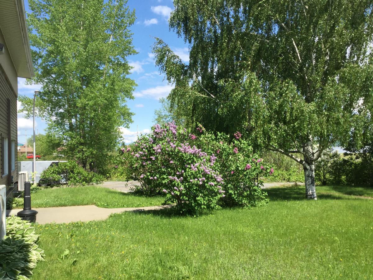 Motel Et Condo Chez Charley Sainte-Anne-de-Beaupre Ngoại thất bức ảnh
